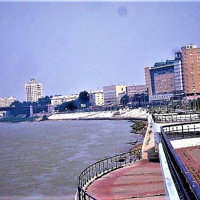 Dsc08004 2